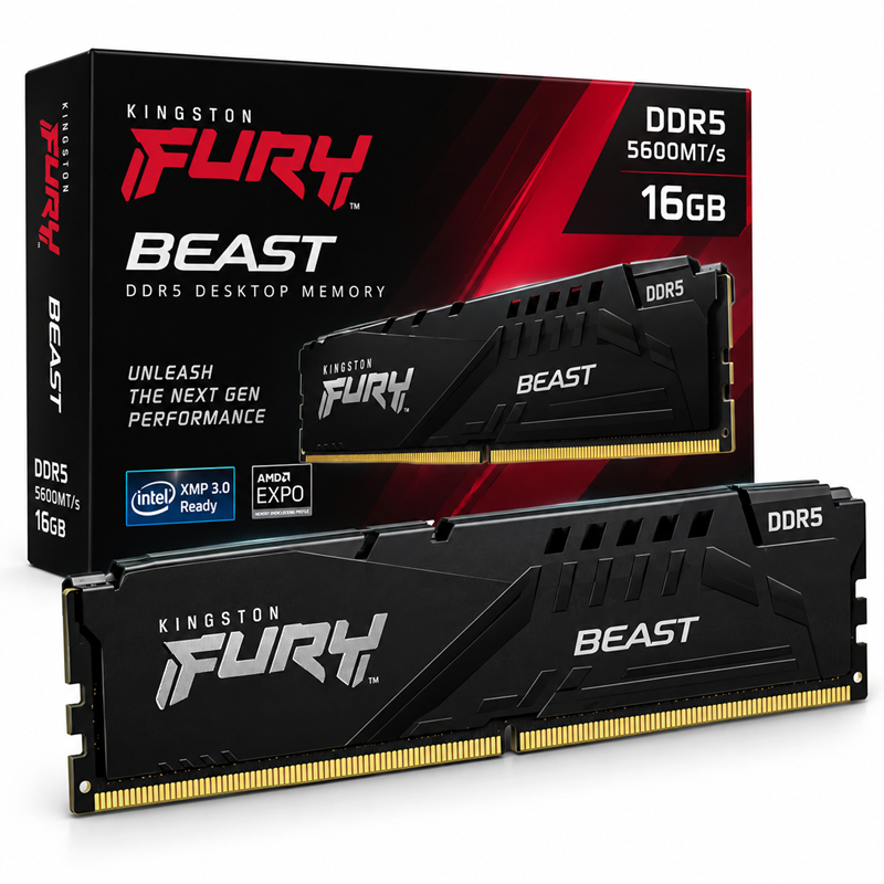 Kingston Fury Beast 16GB DDR5 5600MHz RAM